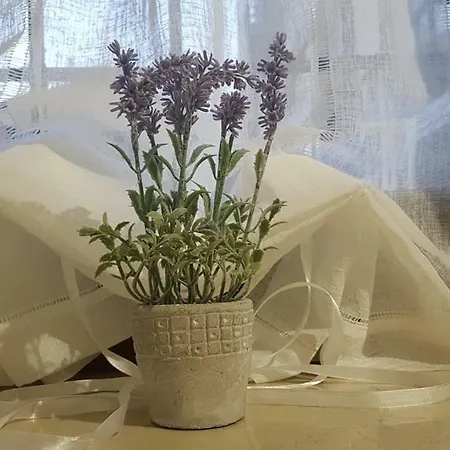 Palazzo Ponte Pietra *